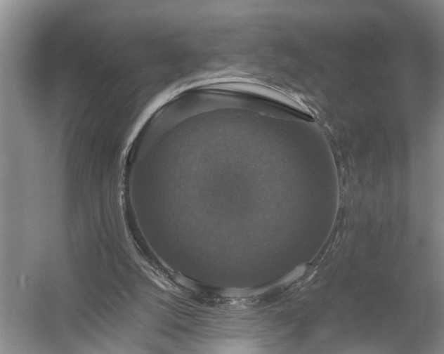 X0000058100056200509301845