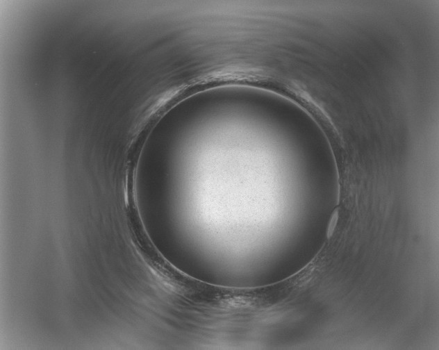 X0000058100062200509301845