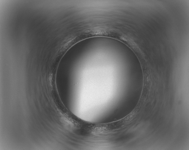 X0000058100066200509301845