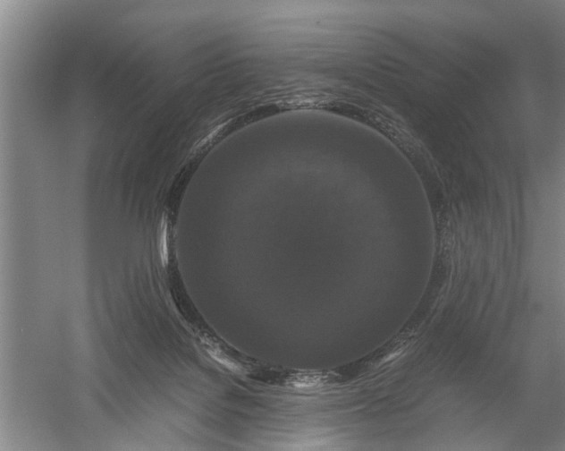 X0000058100076200509301845