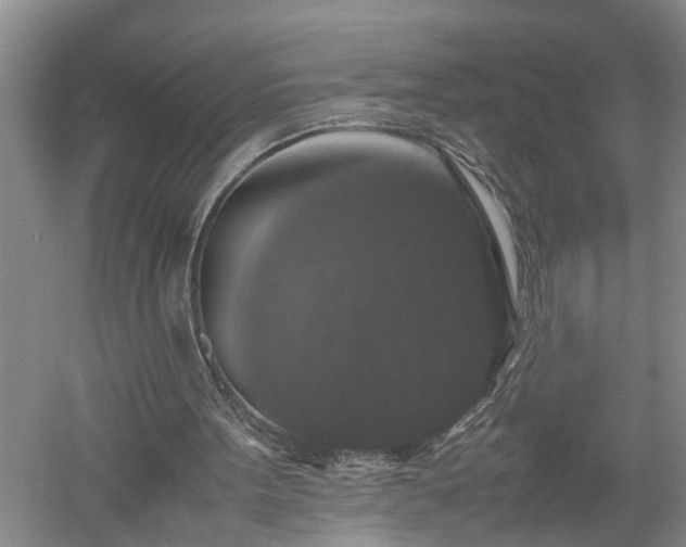 X0000058100099200509301845