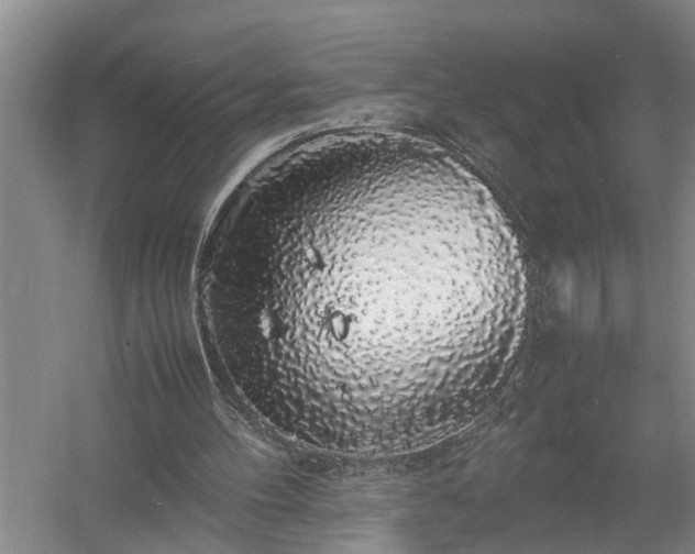 X0000058100100200509301845