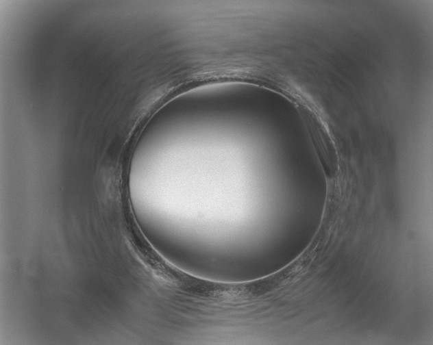 X0000058100107200509301845