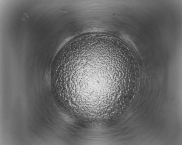 X0000058100108200509301845