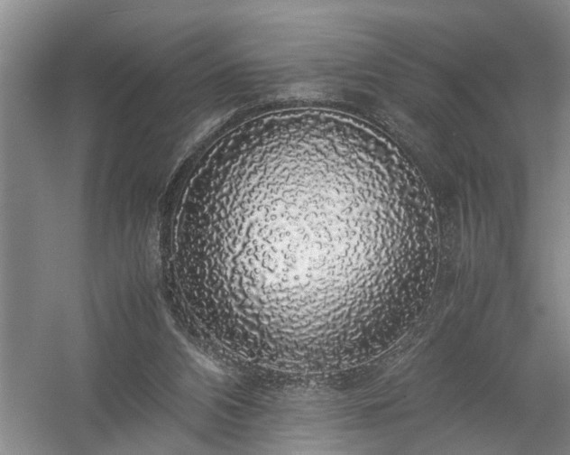 X0000058100112200509301845
