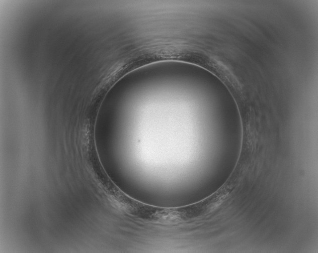 X0000058100113200509301845