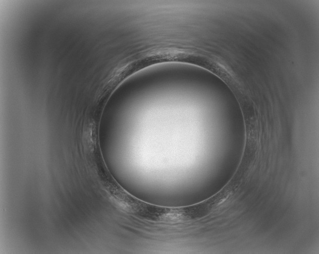 X0000058100119200509301845