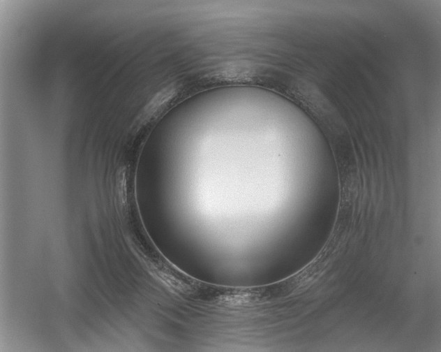 X0000058100120200509301845