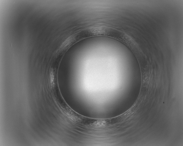 X0000058100124200509301844