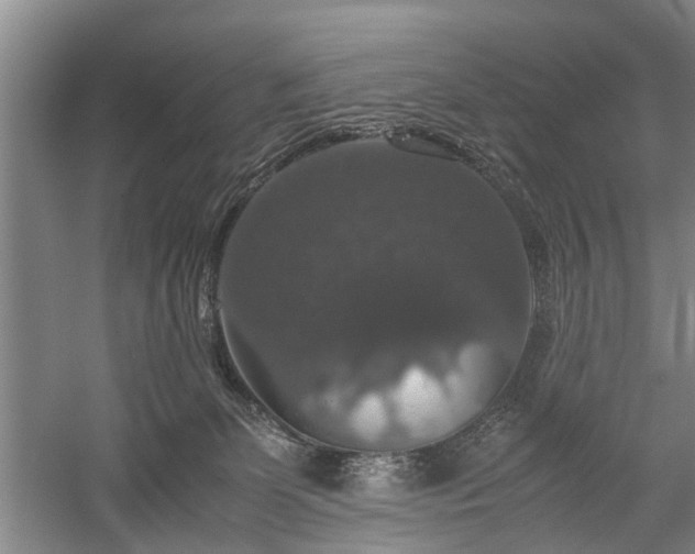 X0000058100131200509301844