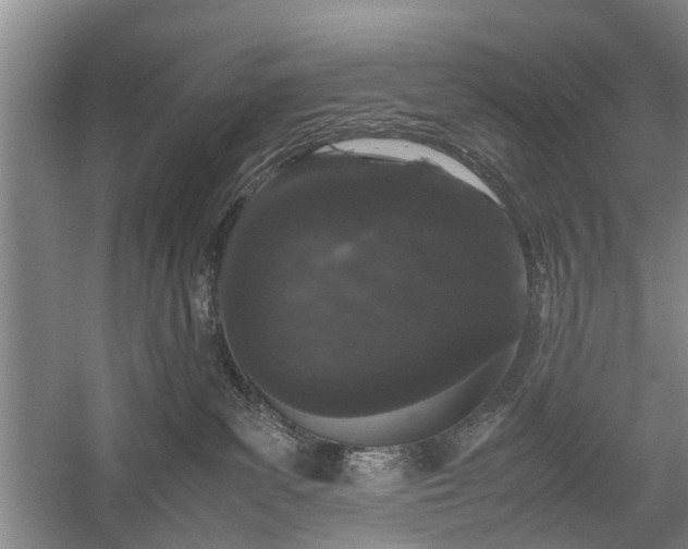 X0000058100139200509301844