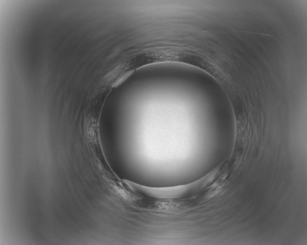 X0000058100141200509301844