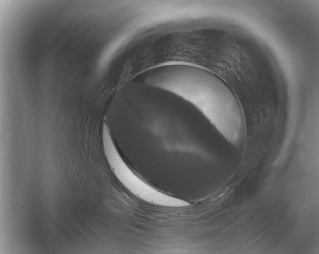 X0000058100143200509301844