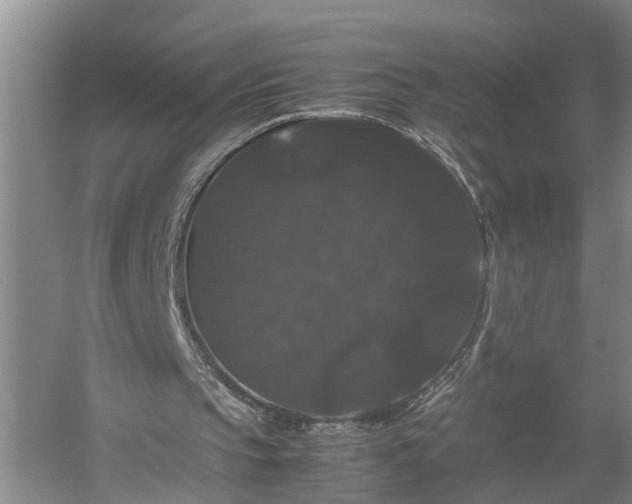 X0000058100145200509301843