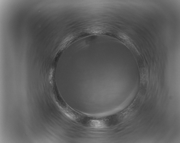 X0000058100167200509301844
