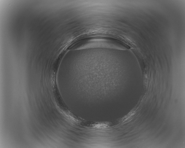 X0000058100168200509301844