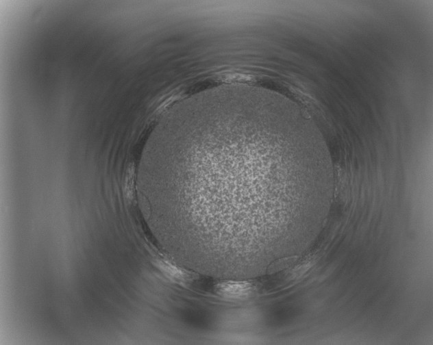 X0000058100189200509301844