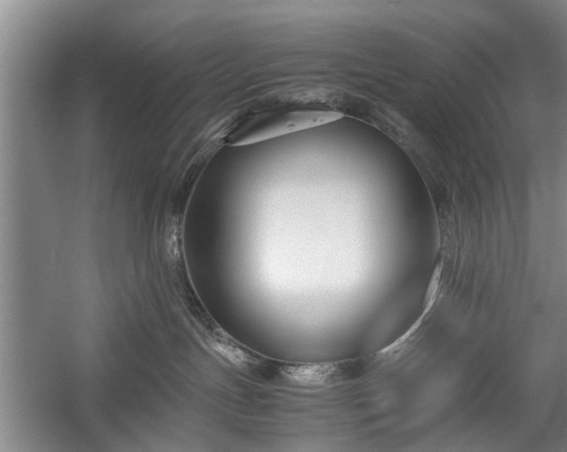 X0000058100191200509301844