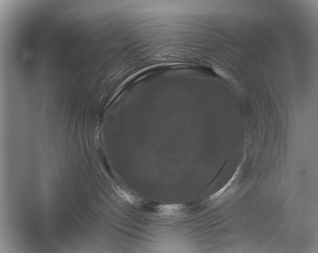 X0000058100192200509301844