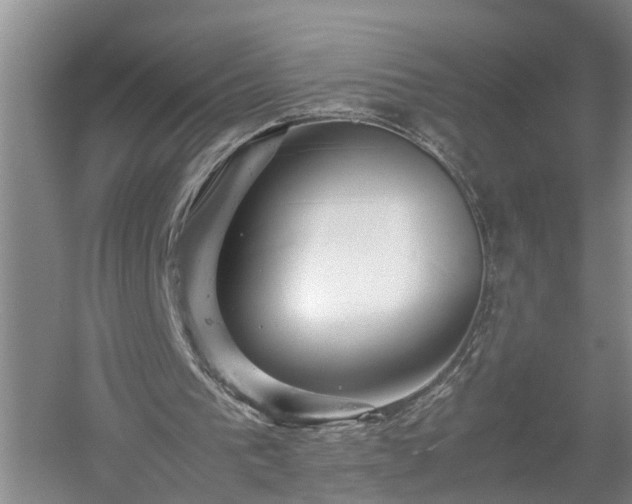 X0000058100193200509301843