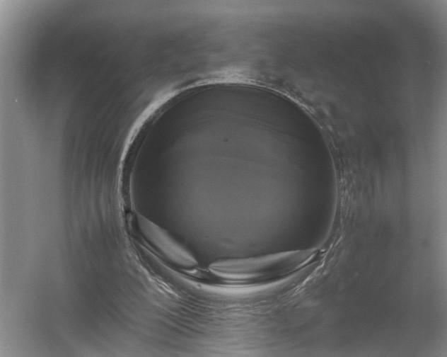 X0000058100200200509301843