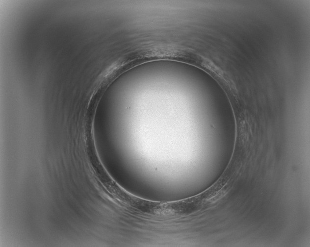 X0000058100203200509301843