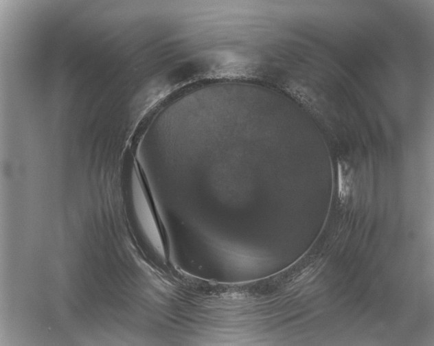 X0000058100204200509301843