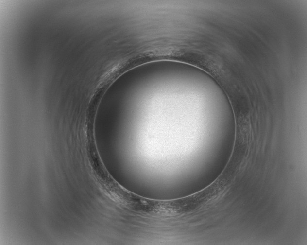 X0000058100207200509301843
