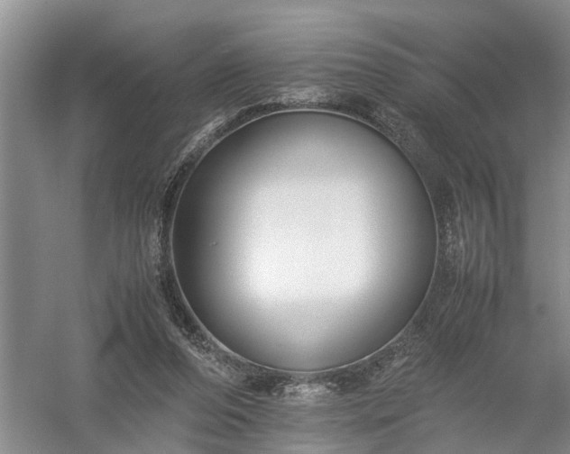 X0000058100208200509301843
