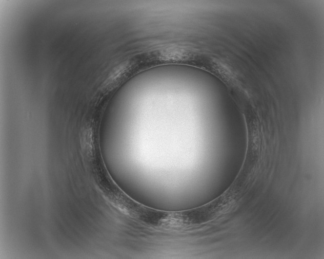 X0000058100211200509301843
