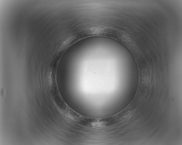 X0000058100216200509301843