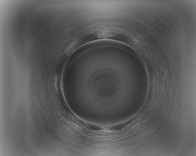 X0000058100219200509301843