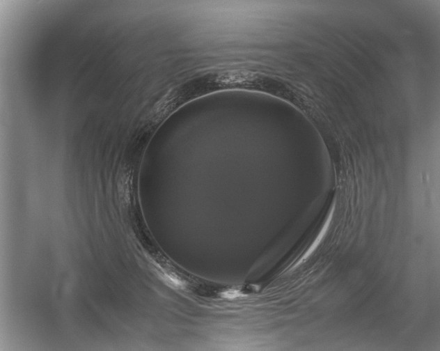 X0000058100227200509301843