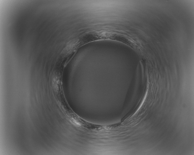 X0000058100235200509301843
