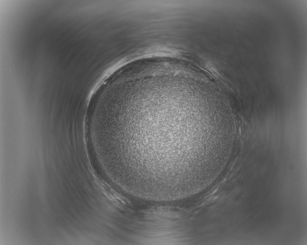 X0000058100244200509301842