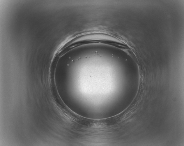 X0000058100248200509301842