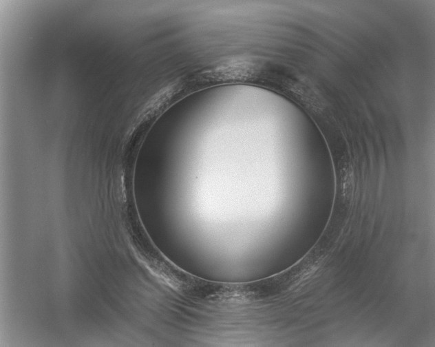 X0000058100254200509301842