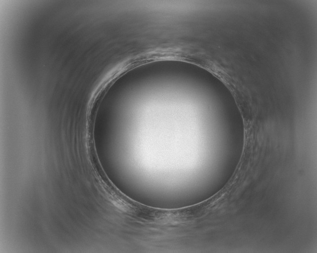 X0000058100293200509301842