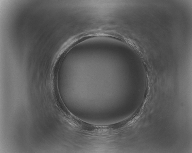 X0000058100295200509301842