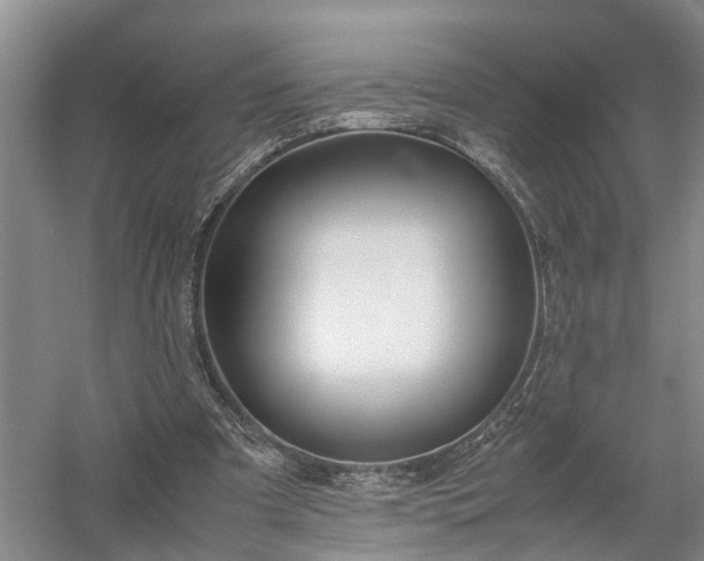 X0000058100297200509301842