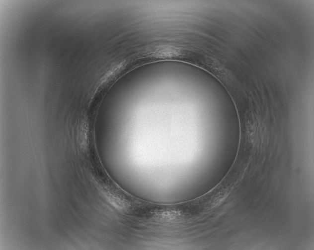 X0000058100304200509301841