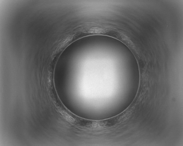 X0000058100305200509301841