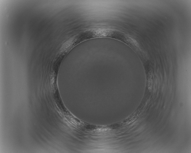 X0000058100314200509301841