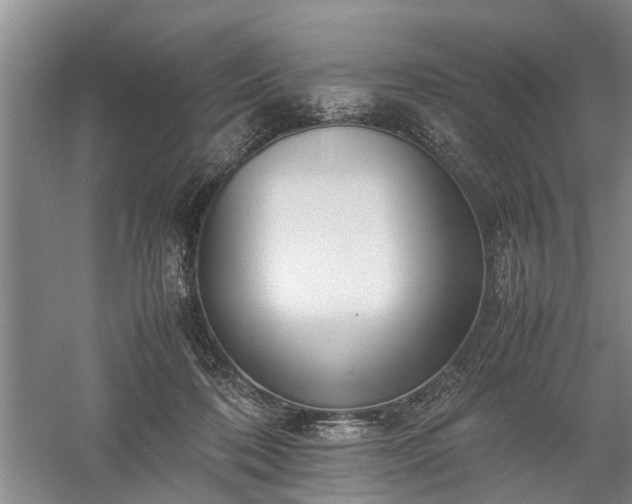 X0000058100316200509301841