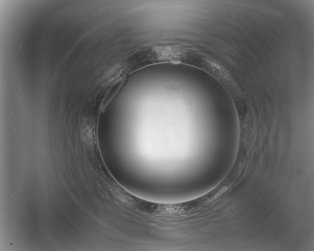 X0000058100329200509301841