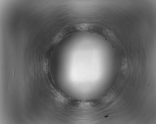 X0000058100332200509301841