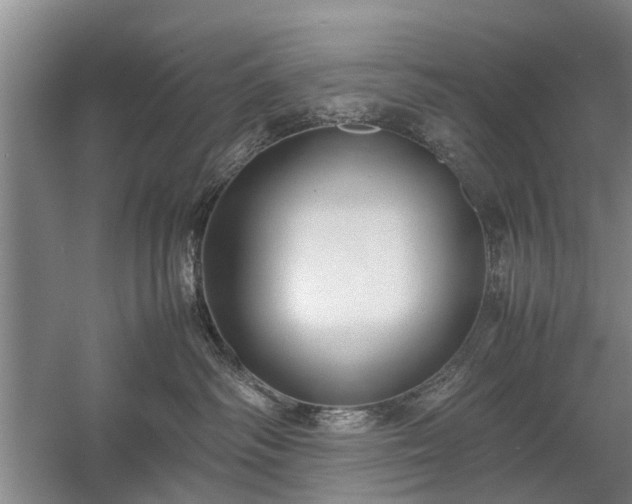 X0000058100334200509301841