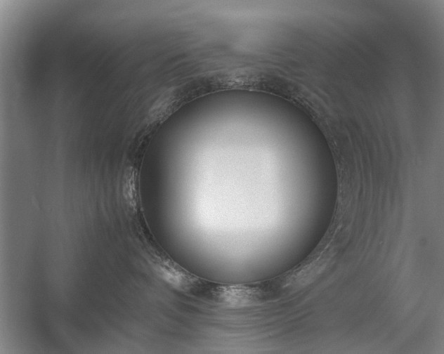 X0000058100336200509301841