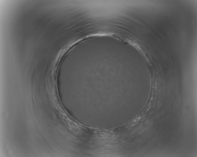 X0000058100337200509301840