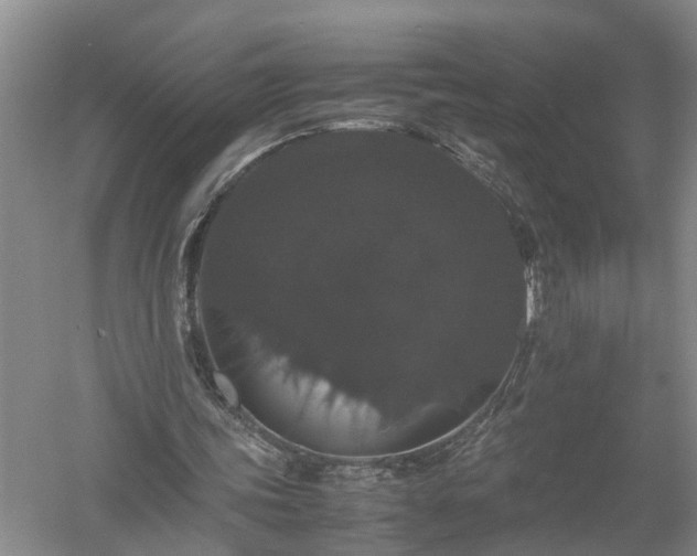 X0000058100339200509301840